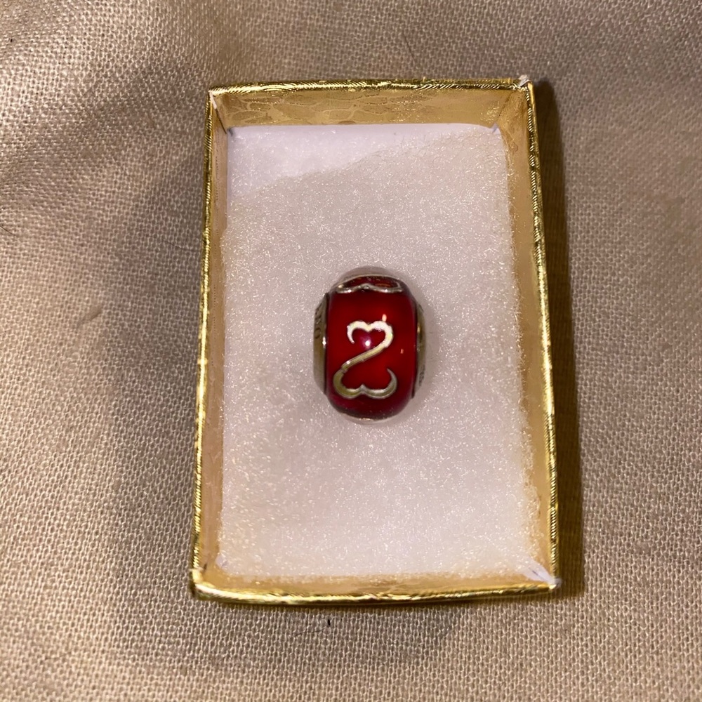 Kays open heart collection Pandora charm.